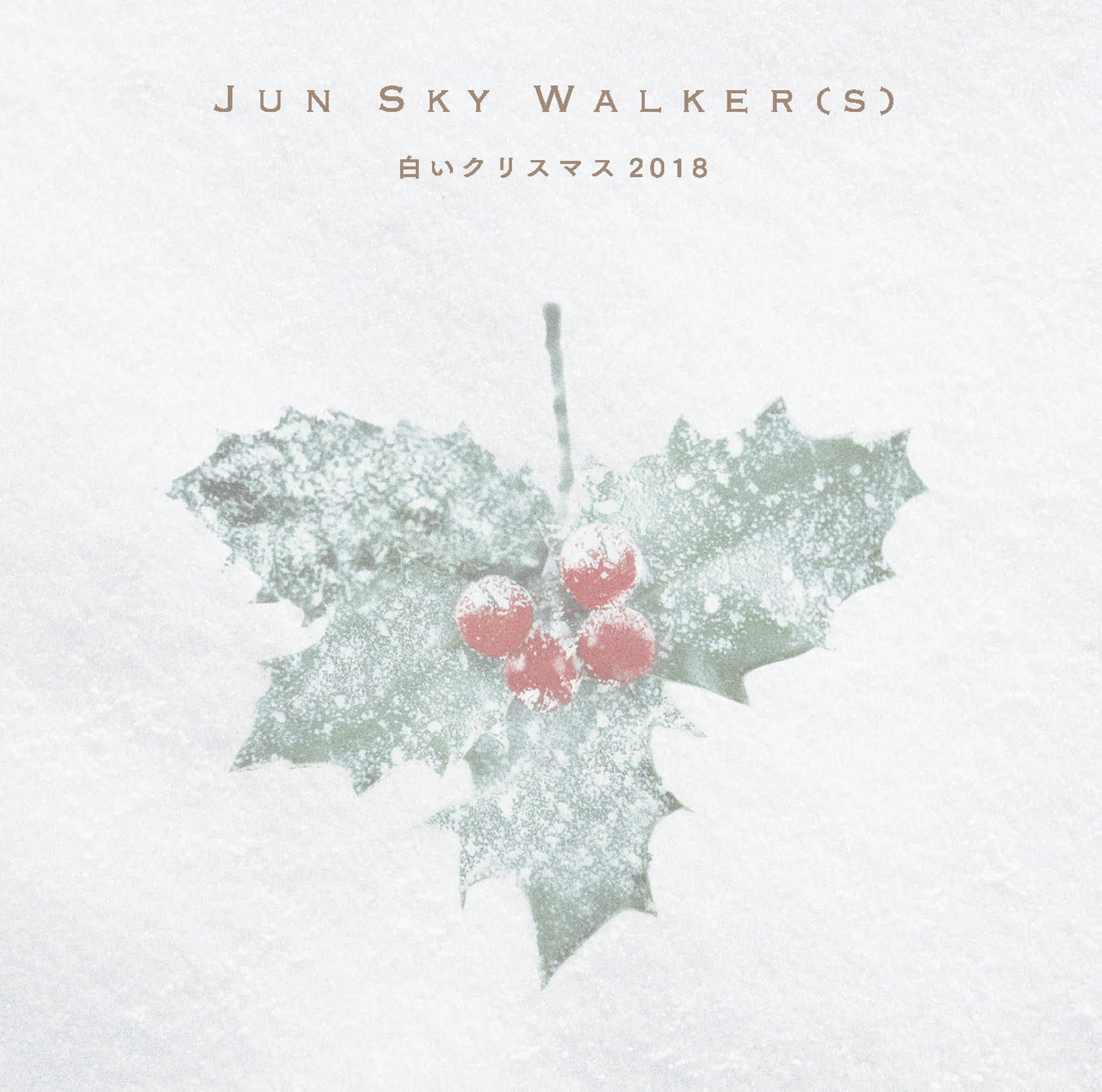JUN SKY WALKER(S)「白いクリスマス2018」