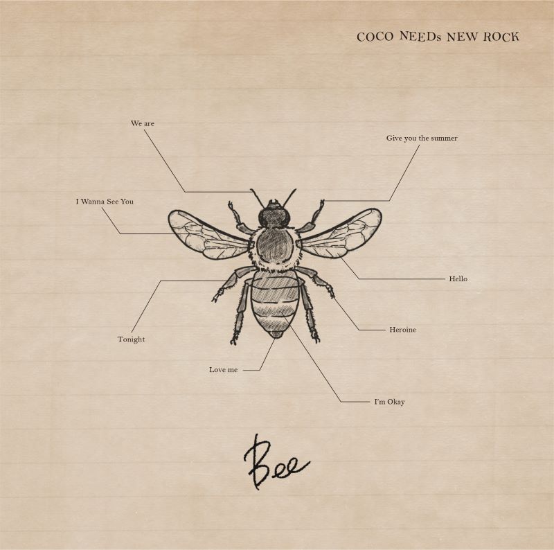 COCO NEEDs NEW ROCK「Bee」