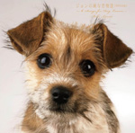 ジョンの純な恋物語【特別完全版】〜6 Songs for DOG LOVERS〜